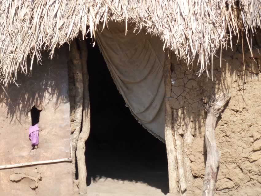 COGWM Africa Gallery